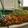 IMG-20201222-WA0002